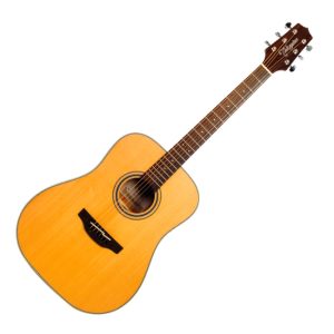 Guitarras Acusticas